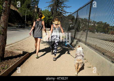 Frauen gehen ein Hund um den Silverlake Behälter Silver Lake, Nachbarschaft Nachbarschaft von Los Angeles, Kalifornien, USA KATHY DEWITT Stockfoto