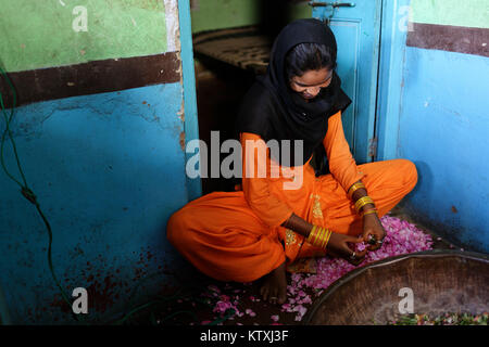 Schüchterne junge indische Mädchen in Orange traditionelle Kleid mit Haar mit schwarzen Schal Kommissionierung abgedeckt Rosenblätter in Ihrem Haus, Dorf in der Nähe von Pushkar, Rajasthan. Stockfoto