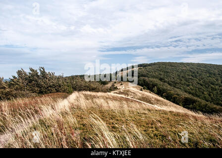 Männliche Jaslo Hügel mit Berg Wiese, Sträucher und Hügel auf dem Hintergrund mit Wald und Wiese in Biesczady Bergen oberhalb von cisna Dorf im Südosten Stockfoto