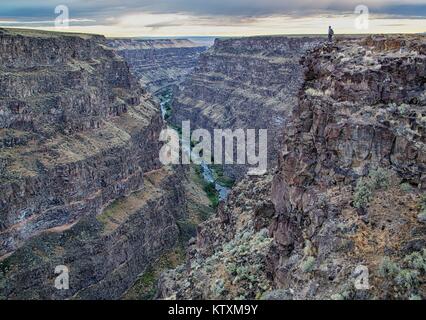 Die bruneau Wild und malerischen Fluss schlängelt sich durch Desert Rock Canyons Juni 21, 2013 in Idaho. Stockfoto