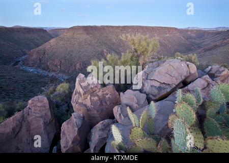 Das Agua Fria Freizeit Fluss fließt durch das Agua Fria National Monument, das am 2. März 2010 in der Nähe von Black Canyon City, Arizona. Stockfoto