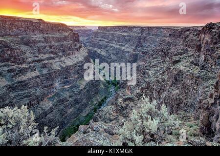 Die bruneau Wild und malerischen Fluss schlängelt sich durch Desert Rock Canyons Juni 21, 2013 in Idaho. Stockfoto