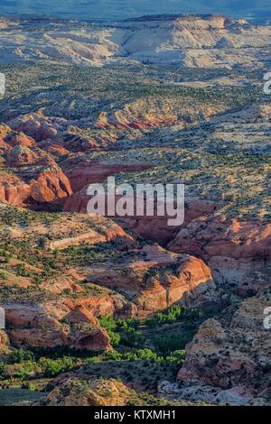 Die Escalante Freizeit Fluss schlängelt sich durch die Grand Staircase-Escalante National Monument August 3, 2012 in der Nähe von Kanab, Utah. Stockfoto