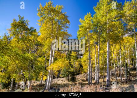 Herbst Laub entlang der Pony Express National Historic Trail am 4. Oktober 2016 in der Nähe von Salt Lake City, Utah. Stockfoto