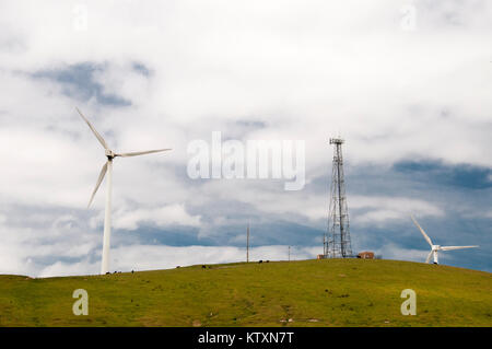 Wind Farm mit Blick auf Toora in South Gippsland, Victoria, Australien Stockfoto