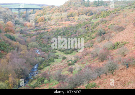 West Okement River Valley im Herbst Stockfoto