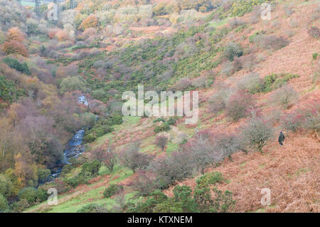 West Okement River Valley im Herbst Stockfoto