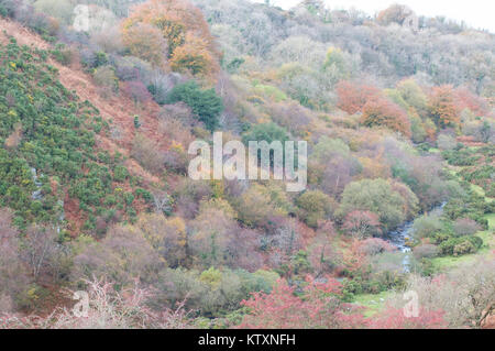 West Okement River Valley im Herbst Stockfoto