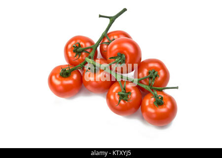 Tomaten auf der Rebe auf weißem Hintergrund Stockfoto