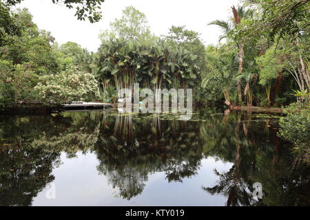 Die sirindhorn Study Center hilft bei der Erhaltung der Tottori tropical peat Swamp, der größte Bereich in Thailand. Stockfoto