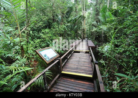 Die sirindhorn Study Center hilft bei der Erhaltung der Tottori tropical peat Swamp, der größte Bereich in Thailand. Stockfoto