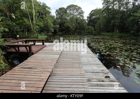 Die sirindhorn Study Center hilft bei der Erhaltung der Tottori tropical peat Swamp, der größte Bereich in Thailand. Stockfoto