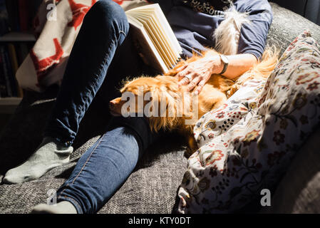 Lesen rothaarige Frau und spaniel Mischling Hund liegen bequem auf dem Sofa vor dem Bücherregal im Wohnzimmer im Licht einer Lampe Stockfoto