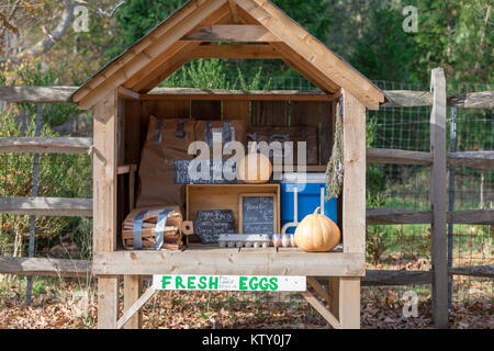 Kleine Straße Seite Farm stand in East Hampton, New York Stockfoto