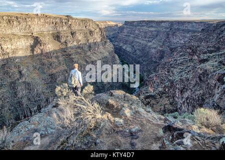 Die bruneau Wild und malerischen Fluss schlängelt sich durch Desert Rock Canyons Juni 21, 2013 in Idaho. Stockfoto