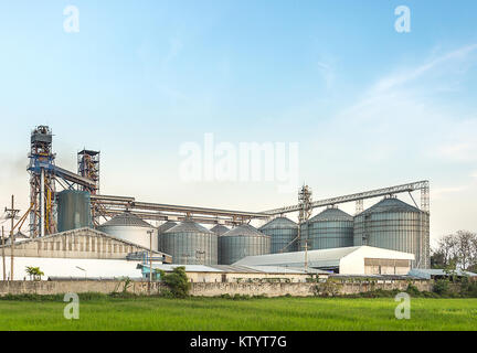 Silo in der Lebensmittel-, argiculture, hinter Reisfeld bei klarem Himmel Stockfoto