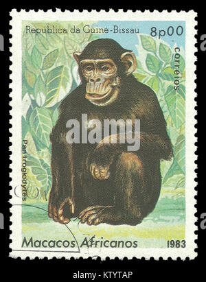 Guinea Bissau - Stempel 1983 gedruckt, Tiere, Affen, Schimpansen, Pan troglodytes Stockfoto