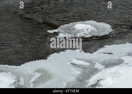 Blick auf einem Fluss Eis Feld im Winter. Die Hälfte des Eis Feld ist in Stücke gebrochen und Siehe dunkle Wasser. Stockfoto