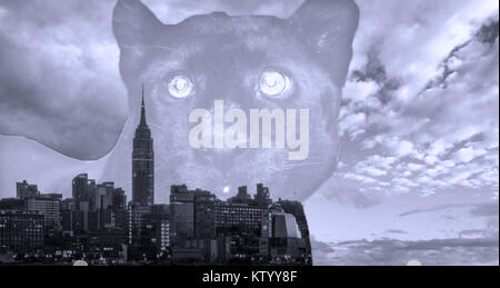 NYC Skyline innerhalb der Black Panther monochrome Abstrakt Hintergrund Stockfoto