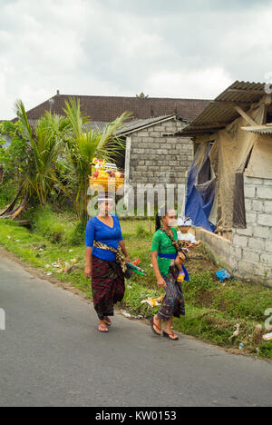 Frauen Ubud Bali Stockfoto