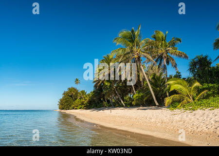 Strand mit Palmen, Cook Inseln Stockfoto