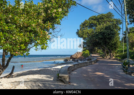 Straße an der Küste bei Anse Gaulettes, La Digue, Seychellen Stockfoto