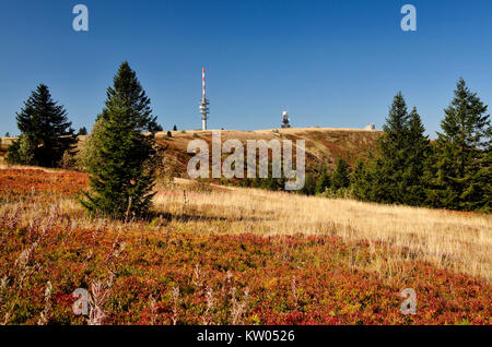 Schwarzwald, Feld Berg Gipfelplateau, Schwarzwald, Feldberg Gipfelplateau Stockfoto