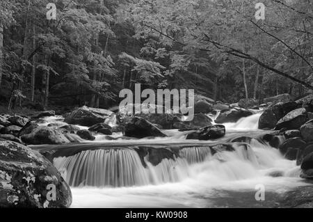 Großen Kaskaden in die mittlere Zinke der Little Pigeon River im Tremont der Great-Smoky-Mountains-Nationalpark, Tennessee, USA Mitte Mai. Stockfoto