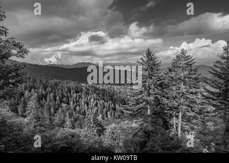 Einen malerischen Blick auf die Great Smoky Mountains von knapp unter Clingman's Dome. Dies ist in North Carolina zurück in Tennessee. Stockfoto