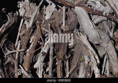 Brennholz, gefällte Baumstämme und Haken in einem Stapel auf einem schwarzen Hintergrund. Stockfoto