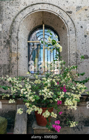 Glasmalereien und Bougainvillas, Parroquia de San Francisco De Asis, Chapala, Jalisco, Mexiko Stockfoto