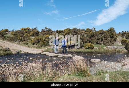 Spaziergänger durchqueren eines Flusses über trittsteine in der Nähe von Lydford in Devon, England. Vereinigtes Königreich Stockfoto