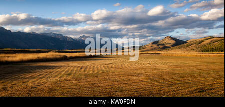 Das ist ein Bild für die Jackson Hole Tal nach Norden aus in der Nähe von Jackson. Das Tal wird von der Teton und Gros Ventre Bergketten gebildet, mit der Snake River über die ganze Länge der Tal. Die durchschnittliche Höhe in das Tal selbst ist 6500 ft. Stockfoto