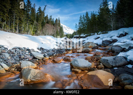 Kautz Creek ist ein Nebenfluss des Nisqually River fließt vom Kautz Gletscher im Mt. Ranier National Park.  Es ist bekannt als unberechenbar und Überschwemmungen durch die Gletscherschmelze. Stockfoto