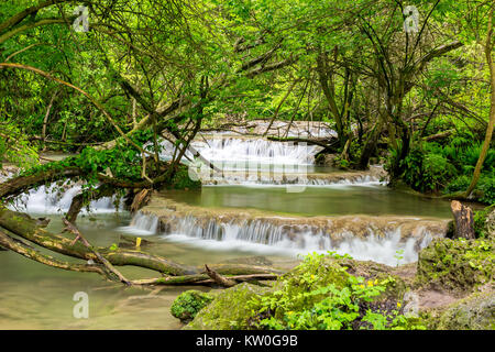 Lange Belichtung Foto von wenigen Wasserfällen von Grün in der Nähe von Krushuna, Bulgarien am Frühling umgeben Stockfoto