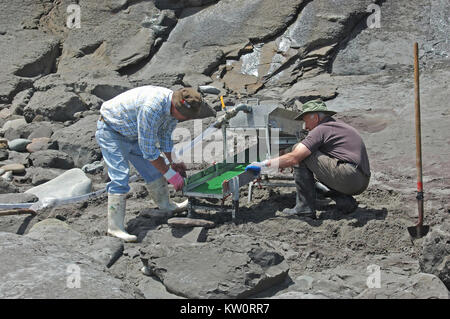 Greymouth, Neuseeland, ca. 2006: Männer arbeiten die schwarzen Sandstrände für Gold nördlich von Greymouth, West Coast, South Island, Neuseeland. Das feine Gold Stockfoto