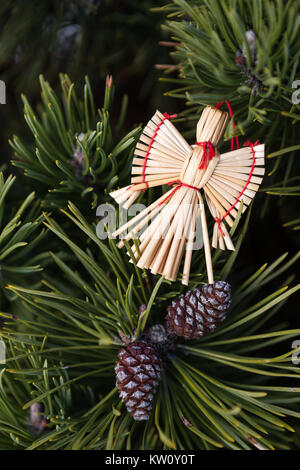 Stroh Engel in einem Weihnachtsbaum. Christbaumschmuck aus Stroh - Weihnachten Engel. Stockfoto