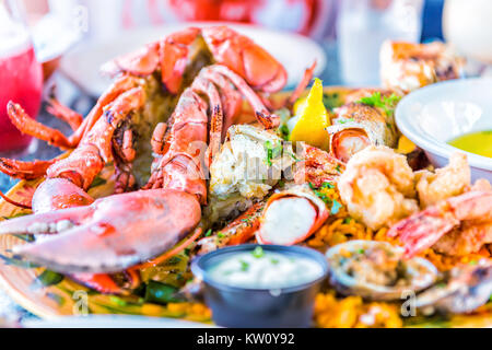 Makro Nahaufnahme des ganzen Hummer in der Schale und Platte mit Meeresfrüchten auf Platte mit Tartar Sauce, Knoblauch Butter, Shrimp Tempura, Krebsfleisch, Zitrone, Getränke, Essen Stockfoto