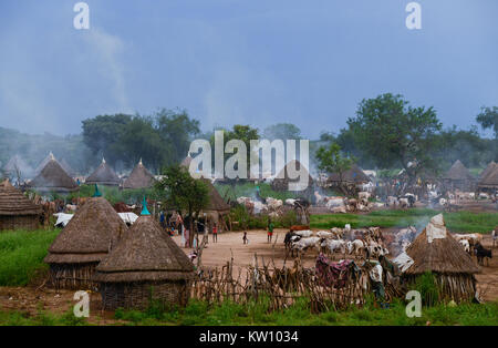 Äthiopien, Gambela, Region Itang, Dorf der ethnischen Gruppe Nuer, Kühe in Rinder-Lager in der Abend-/AETHIOPIEN, Gambela, Region Itang, Ethnie NUER, Dorf, abends Rinder kommen vom Weideland Stockfoto