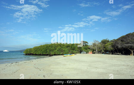 Kajaks für Touristen sind bereit, am weißen Sandstrand. Playa Isabela, Puerto Villamil, Isabela, Galapagos, Ecuador Stockfoto