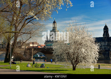 Dresden, Frauenkirche im Blick auf die neue Stadt - der dweller König Ufer, die Frauenkirche in der Ansicht vom Neustädter Königsufer Stockfoto