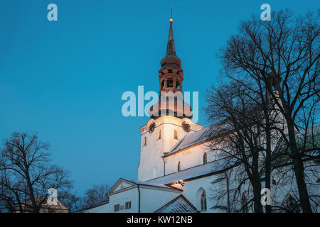 Tallinn, Estland. Am Abend Blick auf die Kathedrale der Heiligen Maria Jungfrau oder Dom in der Nacht Beleuchtung. Auf toomkirik Toompea Hügel befindet. Tallinna Ne Stockfoto