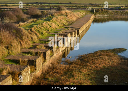 Bleibt der WWII Tank Traps-Teil der küstenschutz an der Südküste bei Cuckmere Haven, East Sussex Stockfoto