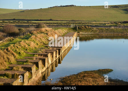 Bleibt der WWII Tank Traps-Teil der küstenschutz an der Südküste bei Cuckmere Haven, East Sussex Stockfoto