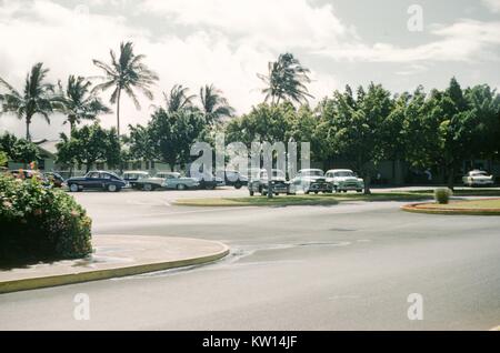 Autos unter Palmen geparkt, Honolulu, Hawaii, 1952. Stockfoto