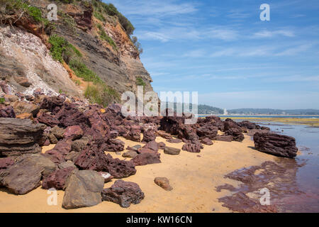 Long Reef Point an der Küste von Sydney in Long Reef aquatische gelegen, Australien Stockfoto