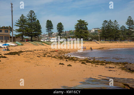 Fisherman's Beach ist Teil der Long Reef aquatische finden, Long Reef Sydney, Australien Stockfoto