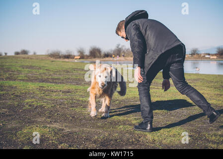 Männliche spielen mit Golden Retriever Hund Stockfoto