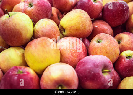 Frische rohe Menge orange rote Äpfel am Counter, viele organische Frische süße rot orange Äpfel, Haufen grün rote Äpfel bilden einen Hintergrund, Äpfel wie Te Stockfoto