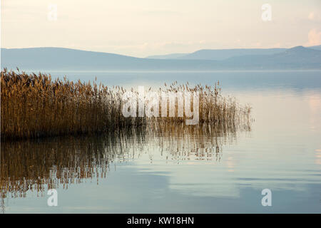 Ruhige See Balaton im Winter an einem windstillen Tag Stockfoto